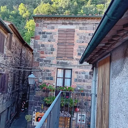 La Casa Di Olga *
